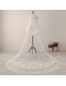 Ivory Fairy Lace Cathedral Wedding Veil Two Tier Bridal Veil